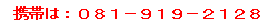 gт́F081-919-2128
